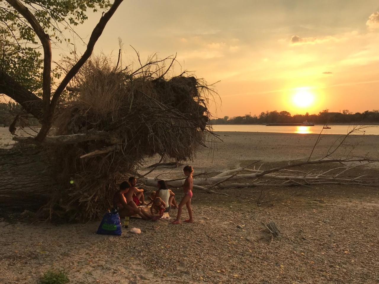 Tobo House Along The River Danube Radvaň nad Dunajom Dış mekan fotoğraf